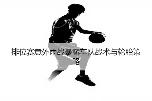 排位赛意外雨战暴露车队战术与轮胎策略（LeyuSports）
